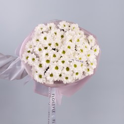 hrizantema romashka 6